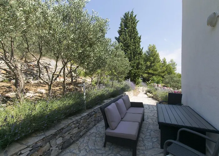 Danica Μούρτερ